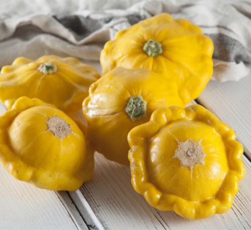 Squash Sun 